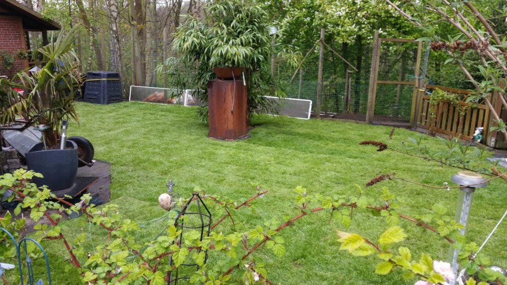Gartenbau in Geesthacht, Bergedorf & Umgebung - Rollrasen verlegen Referenz